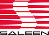 Saleen Diecast Models